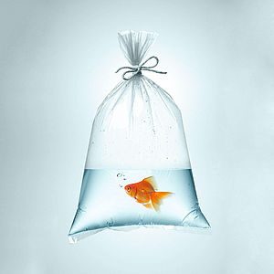 v.l. Tim Krause, Heike Kersten, Christoph Krause